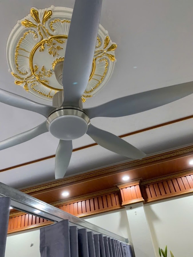 Thế Giới Quạt Trần Tùng Thanh