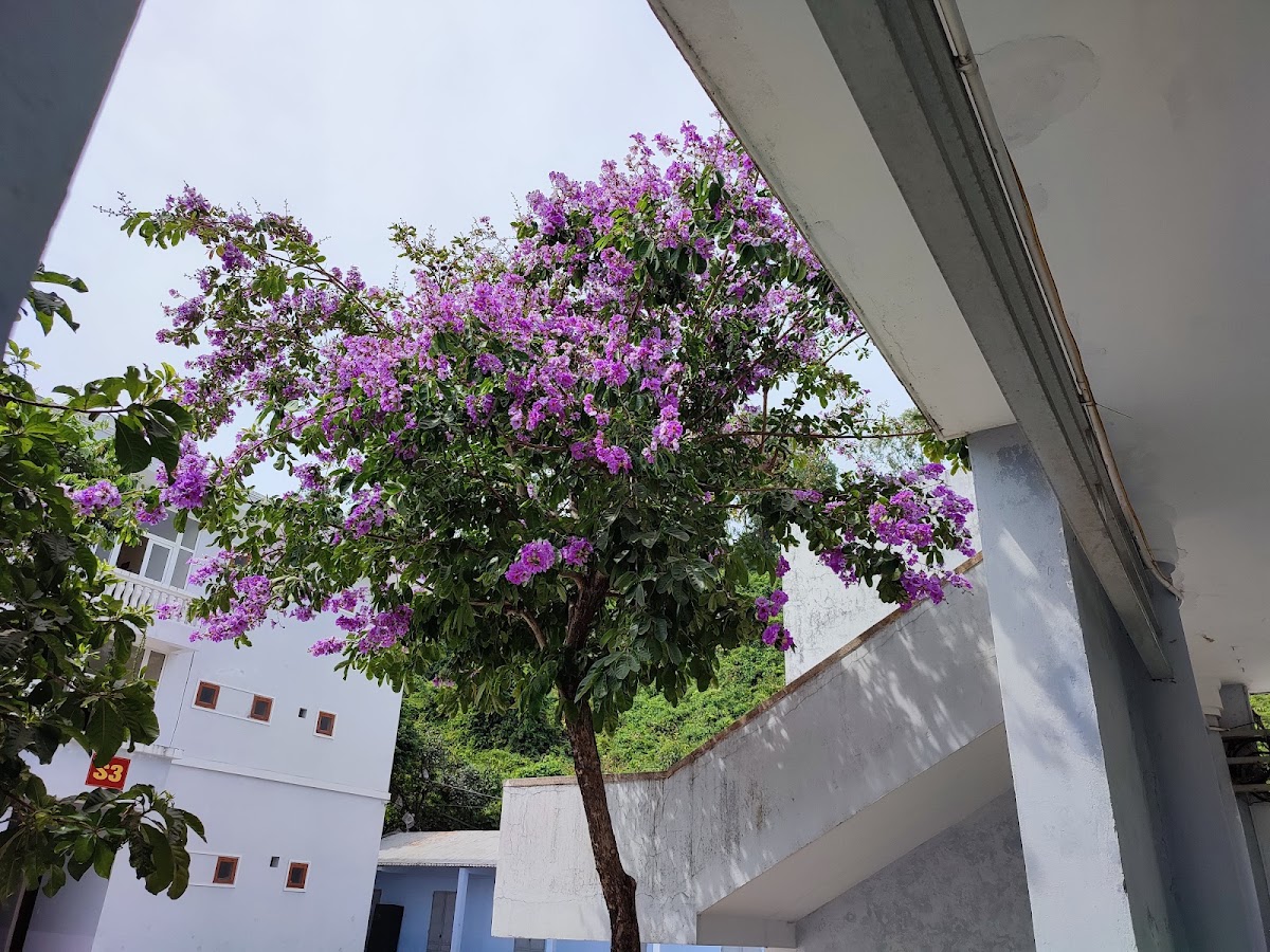 Nhà vườn nghỉ dưỡng Phát Đạt