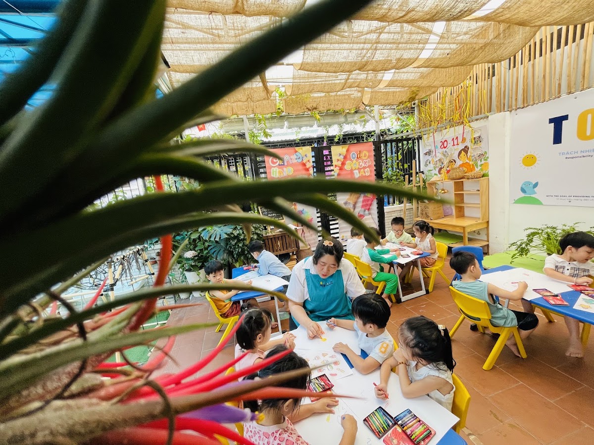 ToToChi Kindergarten - Mầm non Tổ Chim