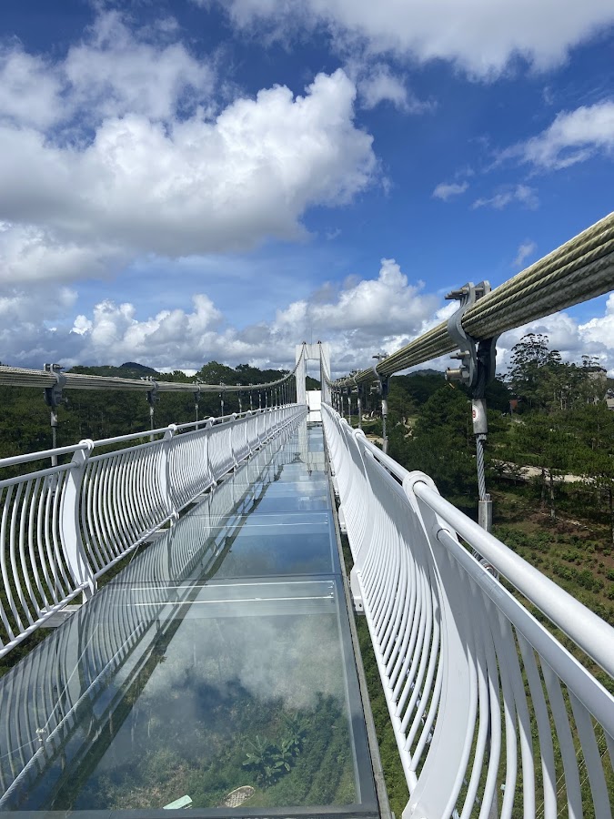 Ngàn Thông Cầu Kính Đà Lạt