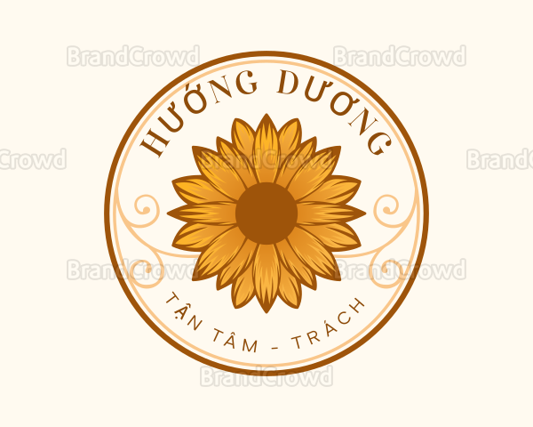 Dạy Kèm Hướng Dương