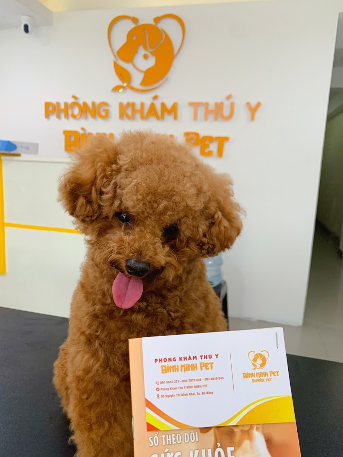 Phòng khám thú y Bình Minh Pet
