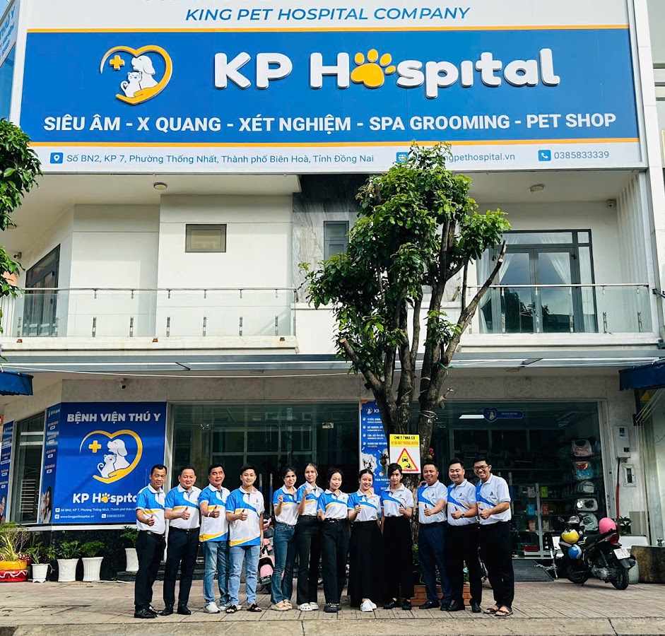 Kingpet Hospital