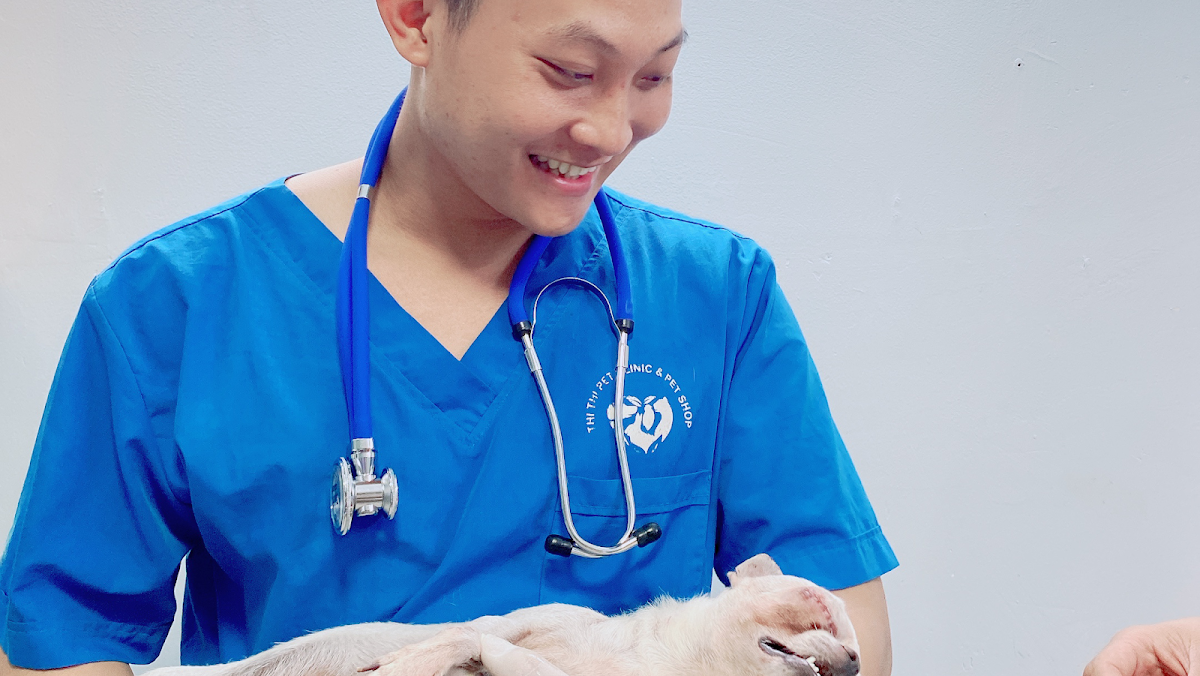 Phòng Khám Thú Y Thithi