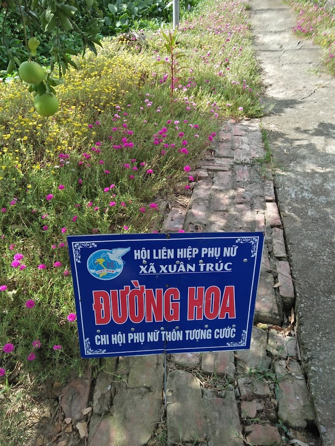 Tạp Hoá Tuyến Hương