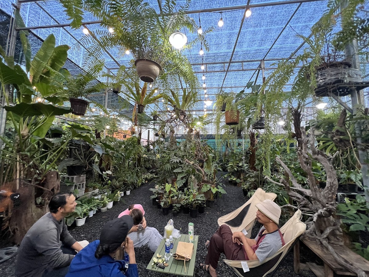 Vườn Mây Bạc Cafe & Space