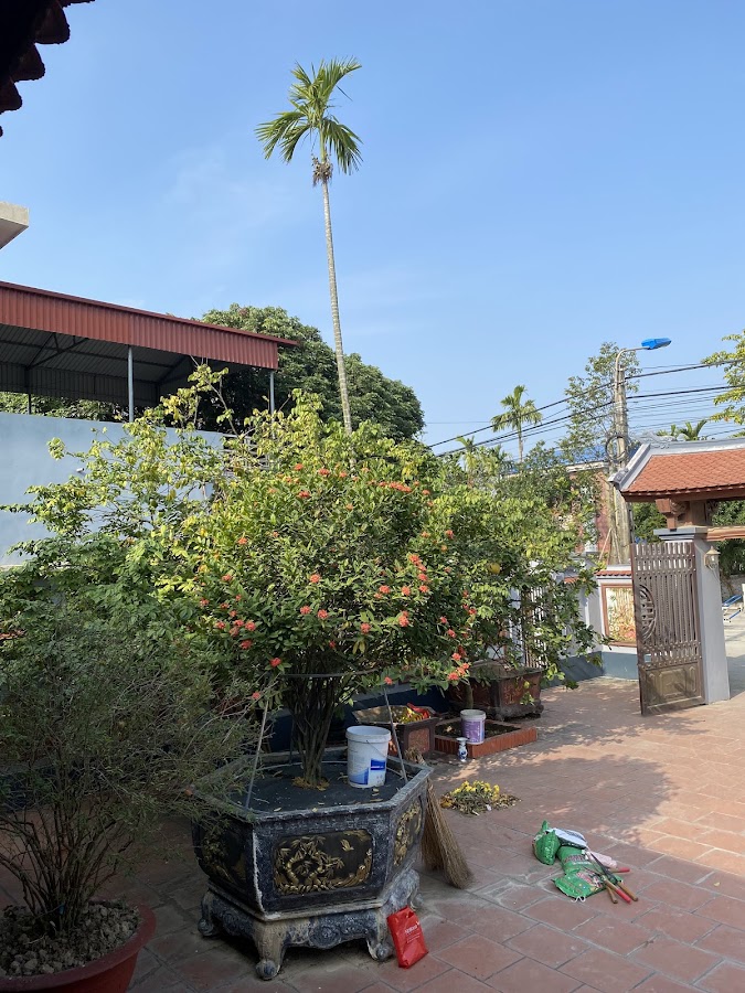 Tạp hoá Điểm Hạ