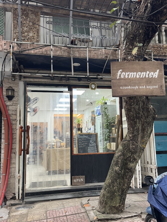 Fermented Hanoi