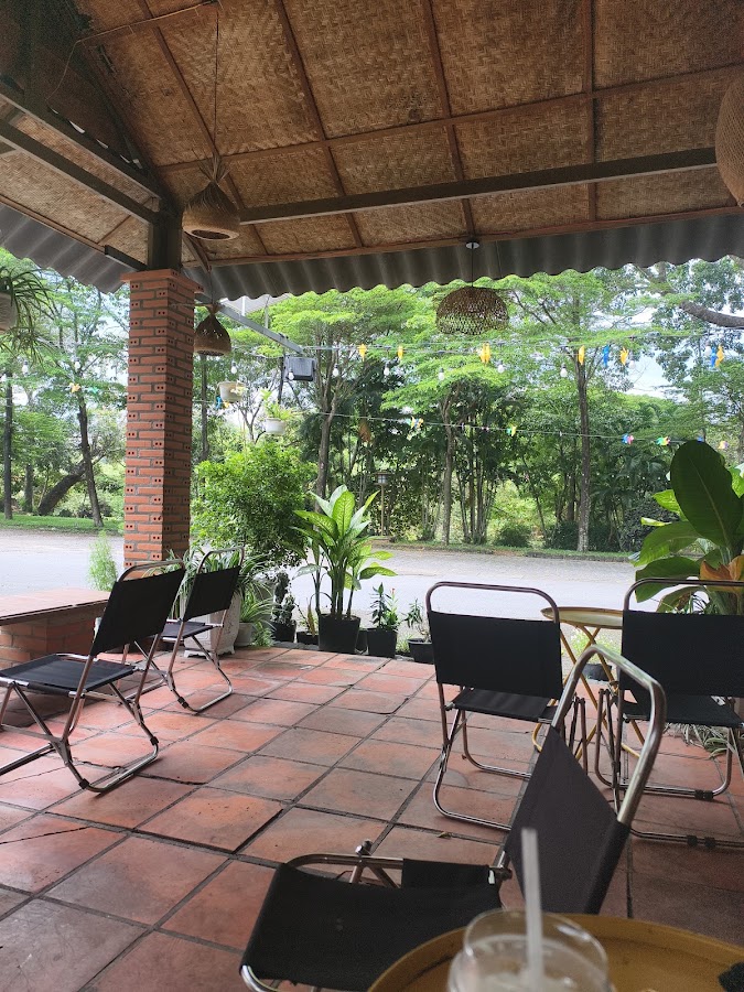 Thương Coffee (Quang Nguyễn)