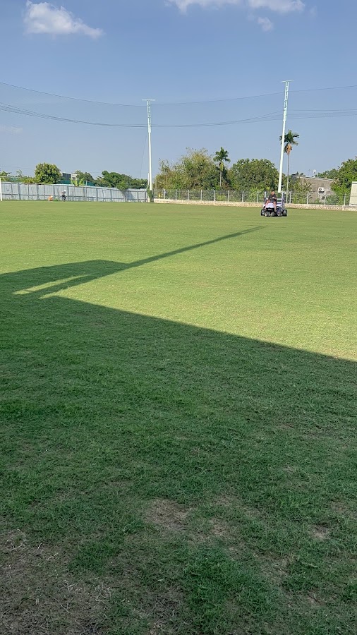 ETIHAD SPORT PARK Q12 SÂN 11 cỏ Bermuda