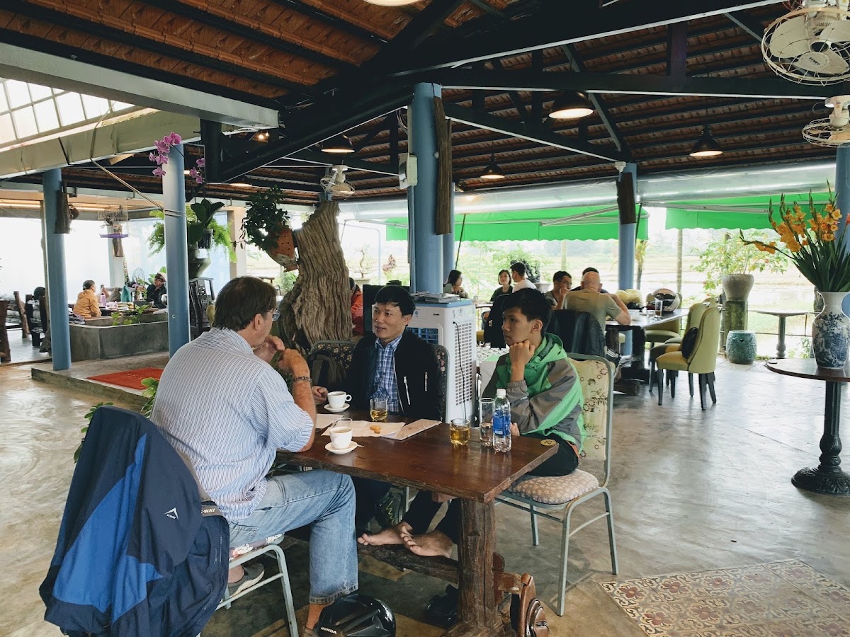 Hoi An English Fluency
