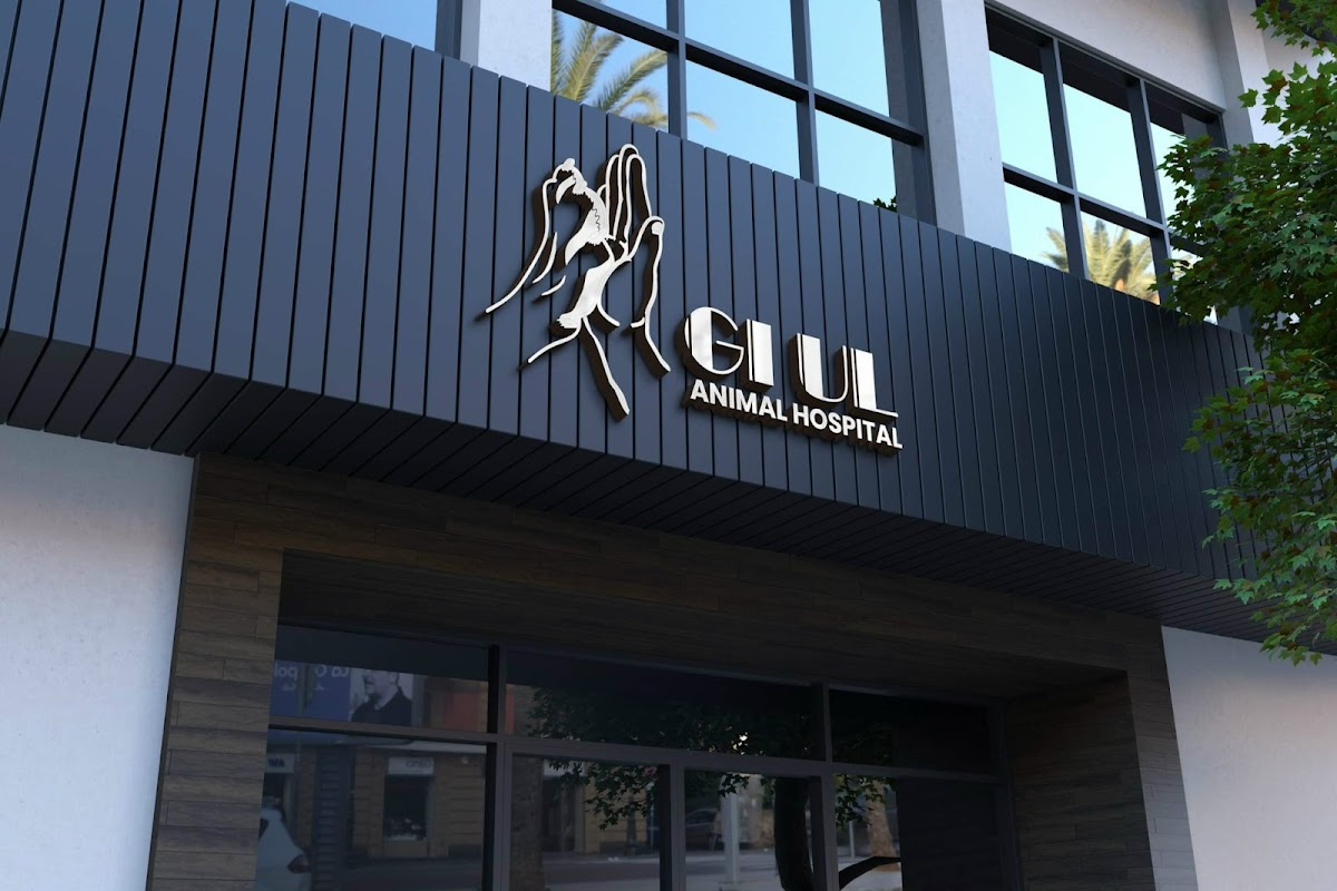 Bệnh Viện Thú Y GIUL