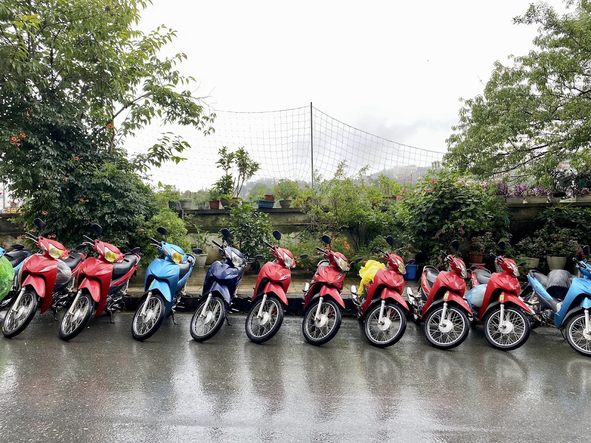 Linh Lê - Motorbike Rental “Quality and Cheap”