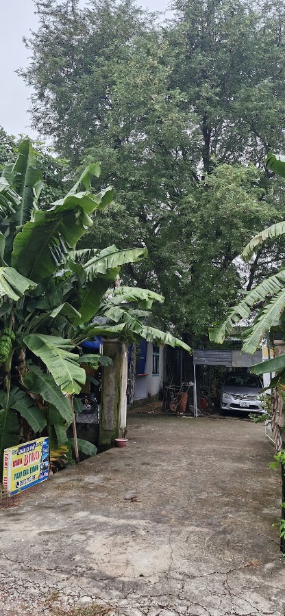 Quán cà phê bida BiBo