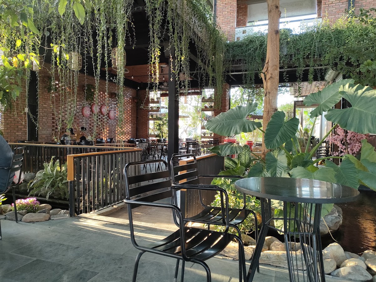 New Lands Coffee