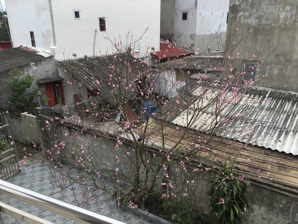 Quán Cafe Vân Nhi An
