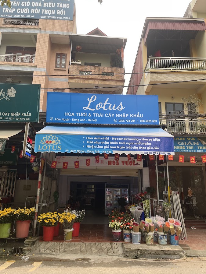 Lotus - hoa tươi và trái cây nhập khẩu