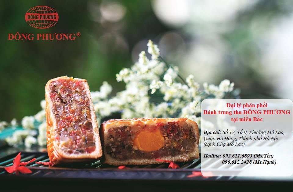 Bánh Trung Thu Đông Phương Hải Phòng tại Hà Nội