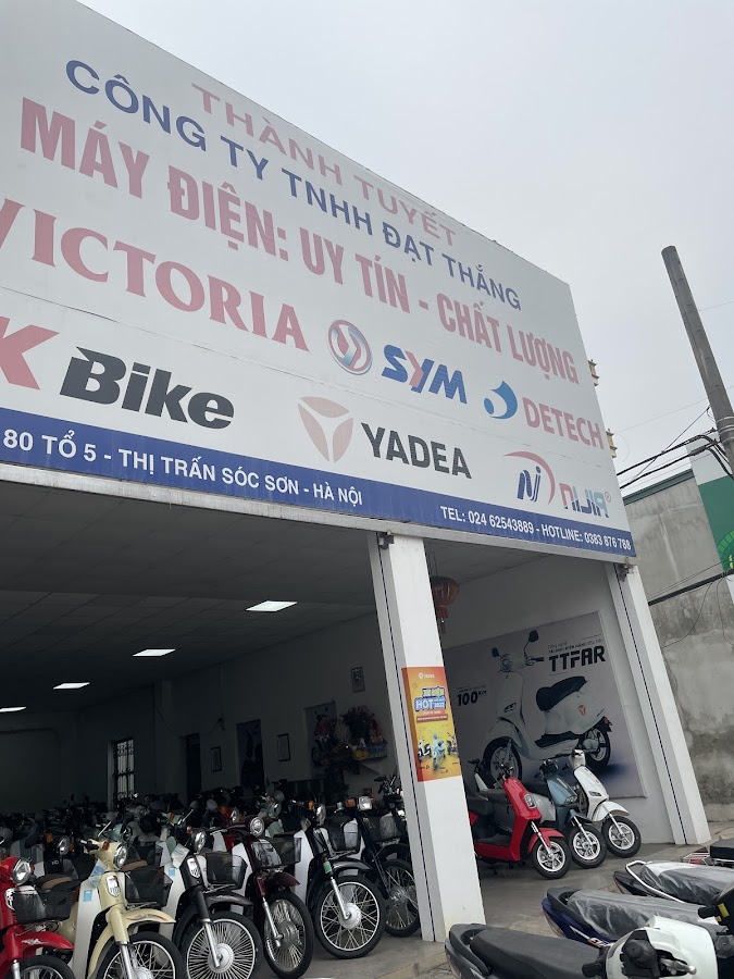 Suzuki 3s Đạt Thắng