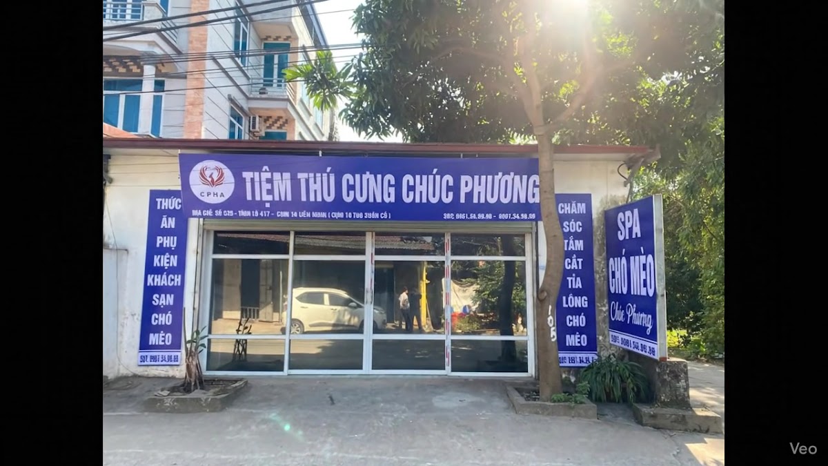 Bệnh Viện Thú Y Đan Phượng