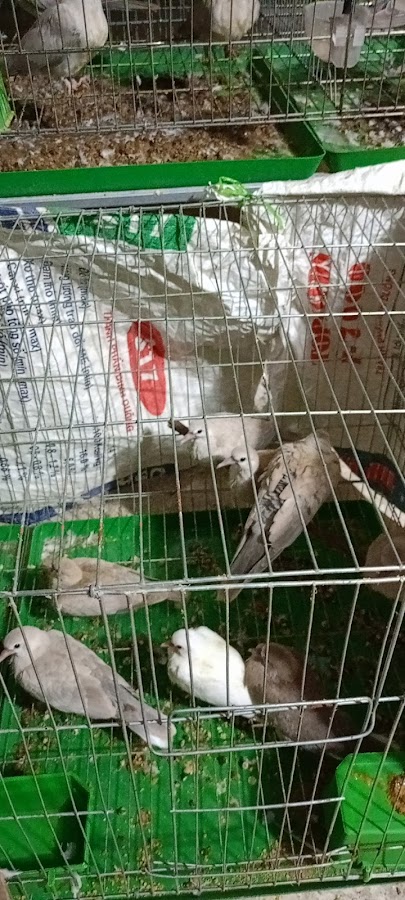 Công Ty TNHH Thực Phẩm Tường Vận