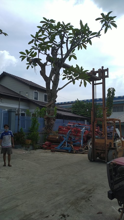 Phụ Tùng Xe Máy Trung Hiếu