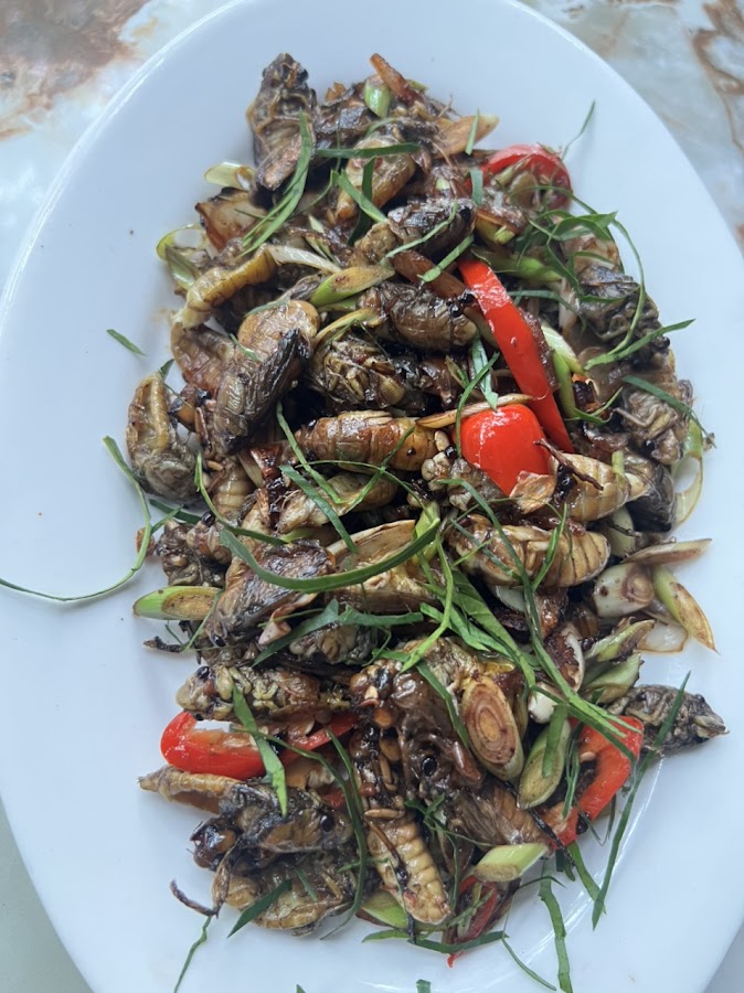 Vườn Bia Năm Luận