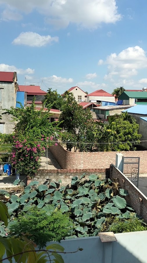 Duy Tân Đào