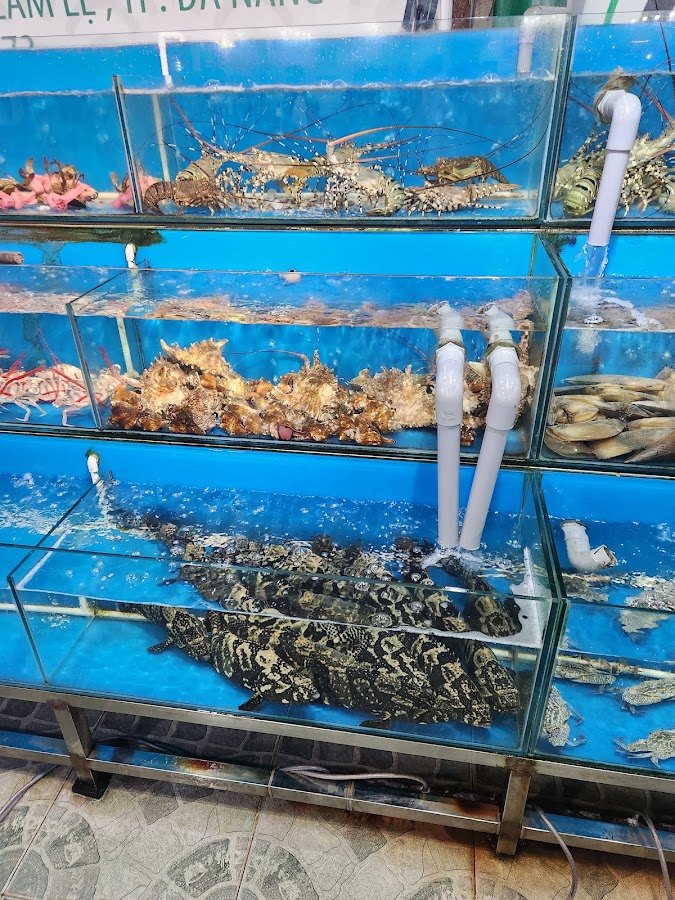 Hải Sản Tự Do