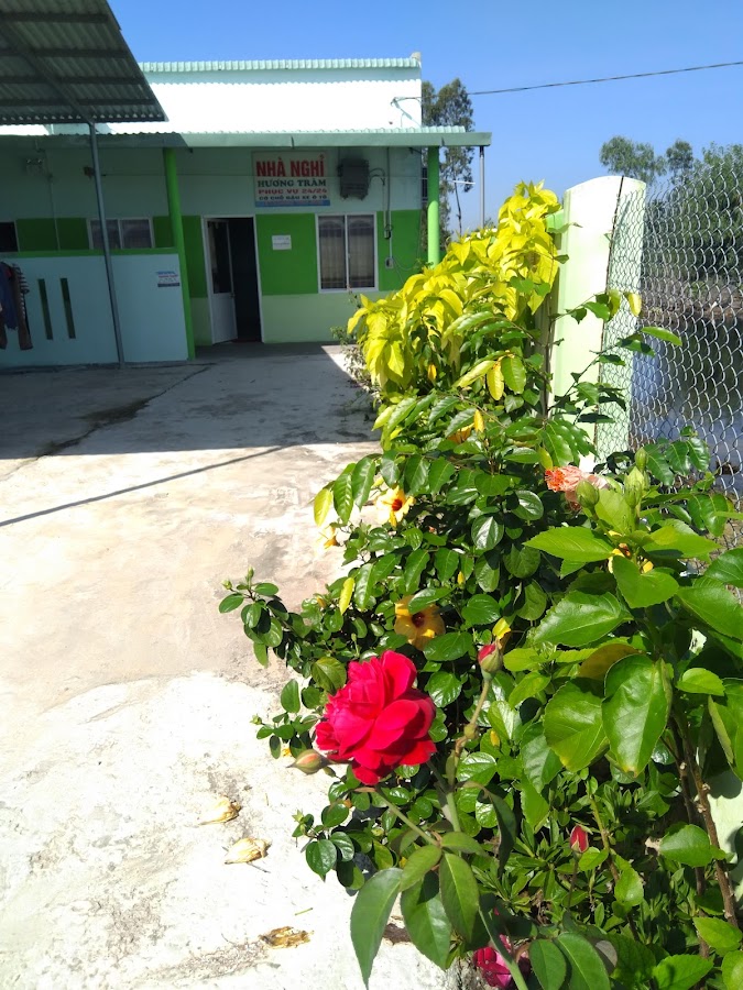 Nhà Nghỉ Hương Tràm