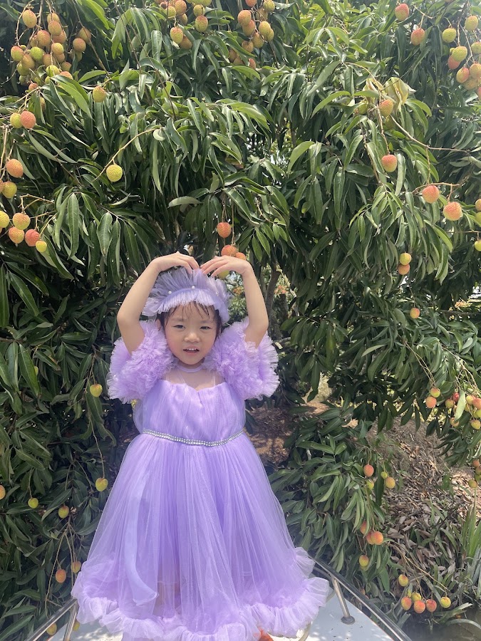 Khu du lịch sông máng