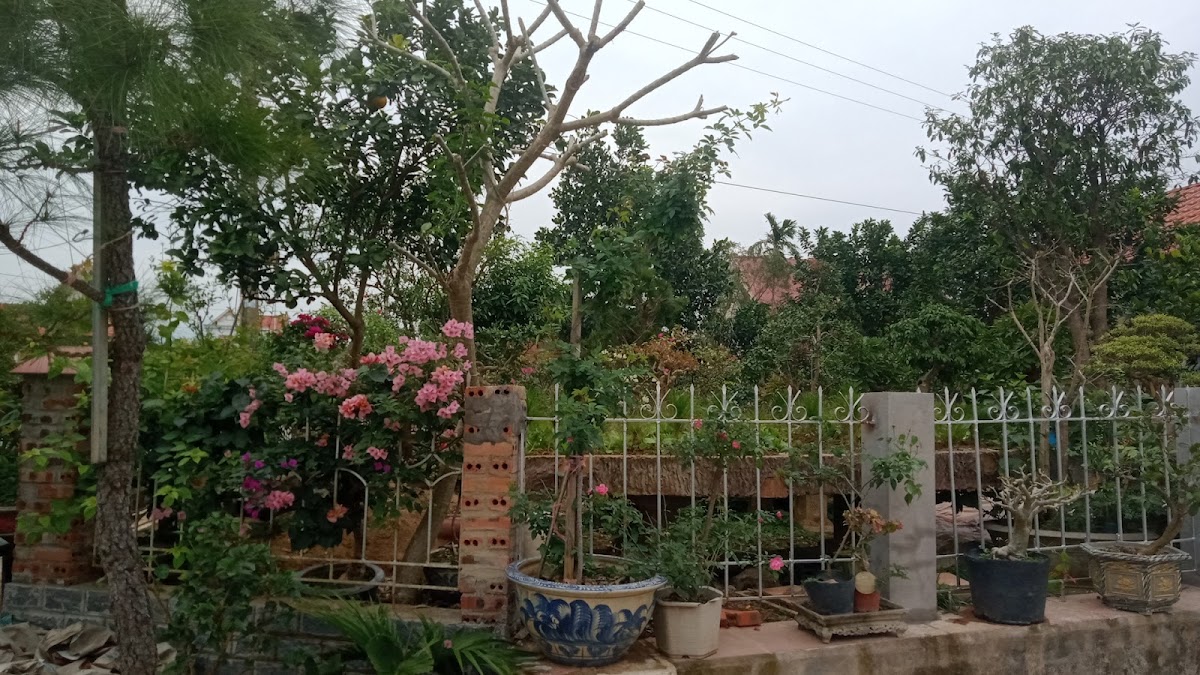 Nhà vườn Xuân Tiếng