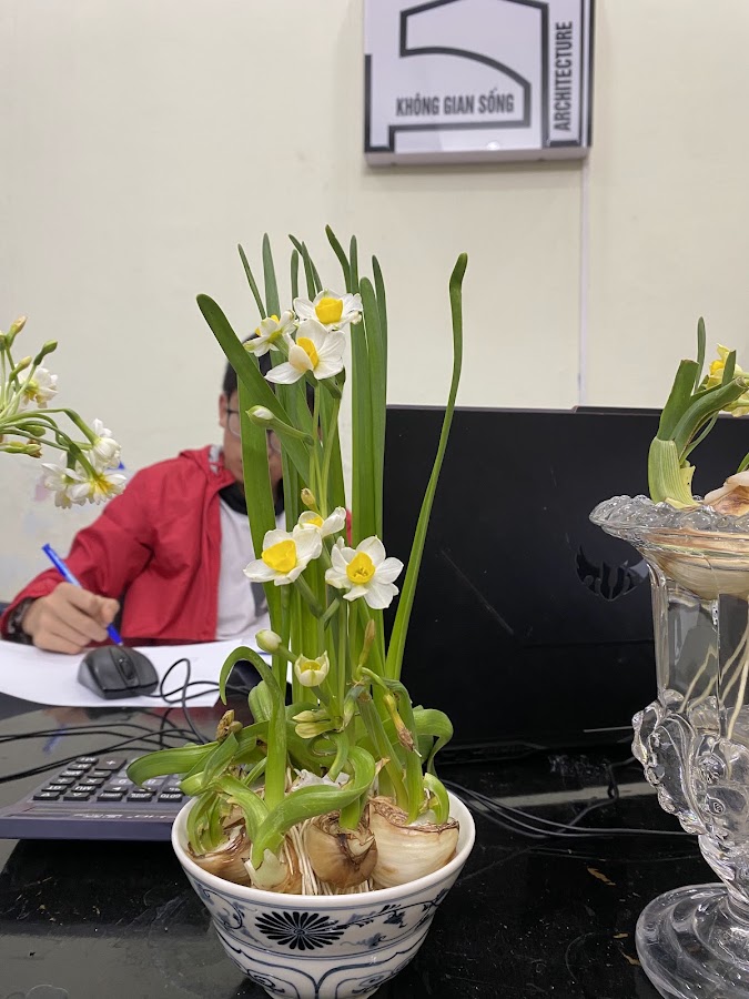 Trà sữa 222 lê thanh nghị