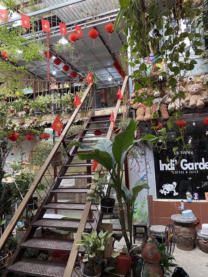 Indi Garden - Tô tượng