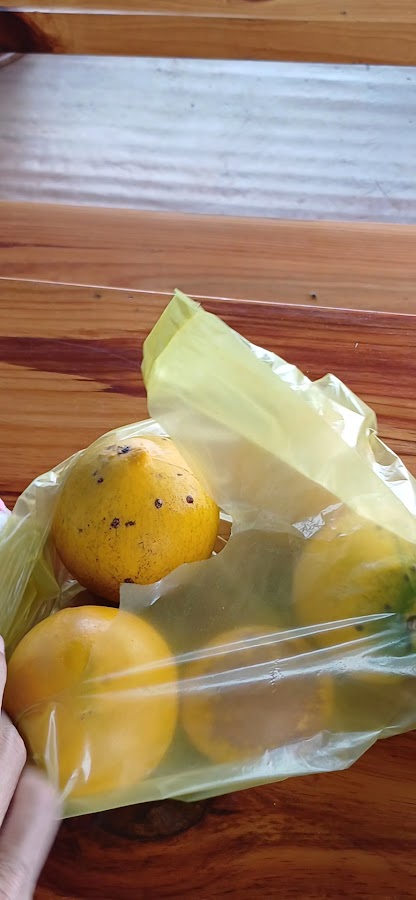 Dụng cụ Nông Nghiệp Hoàng Nguyên