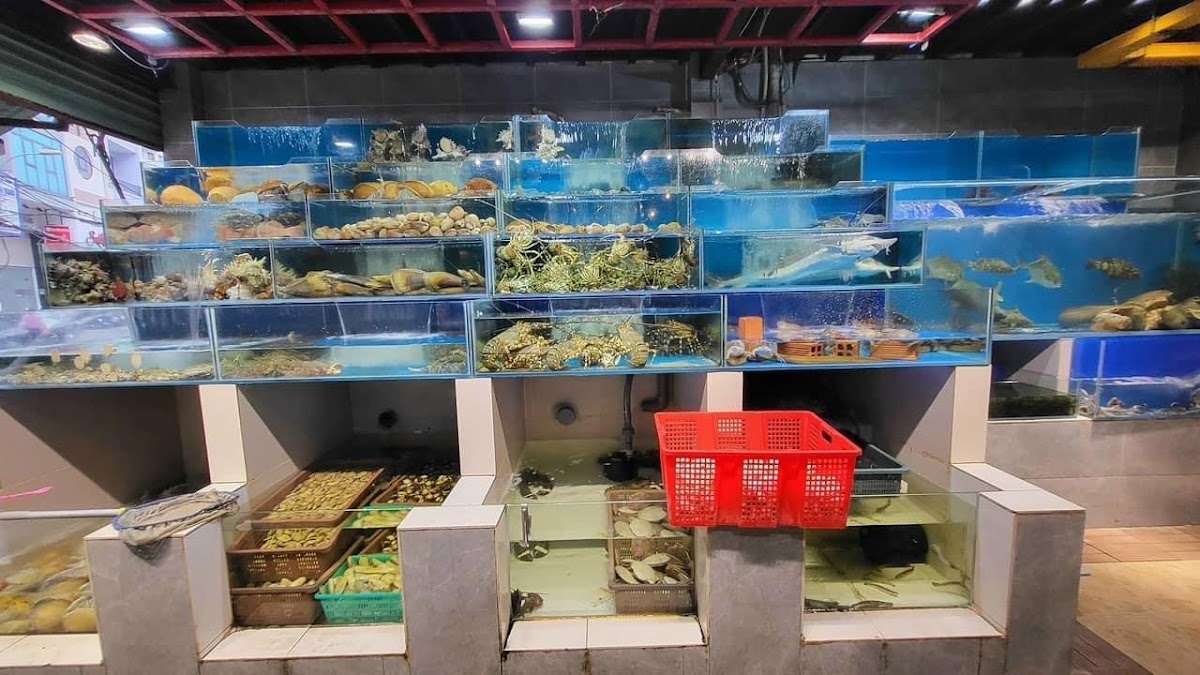 Quán Ốc 379 Vĩnh Viễn