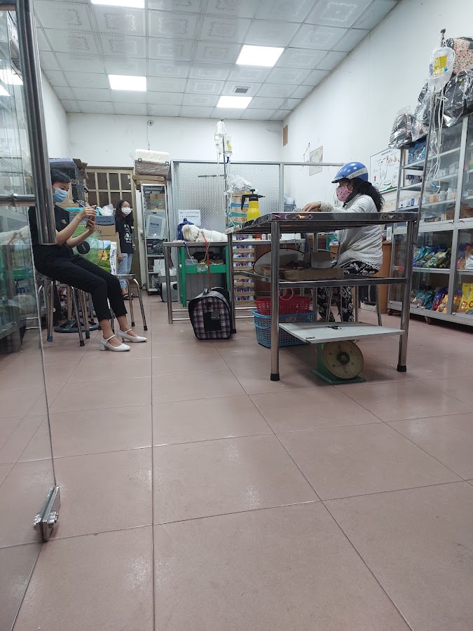 Phòng Khám Thú Y Victo Vet - Bs Tô Thị Thiện Toàn