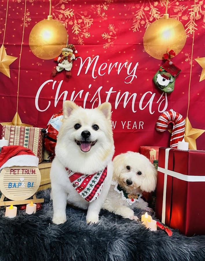 Pet Trum Dịch vụ làm đẹp thú cưng