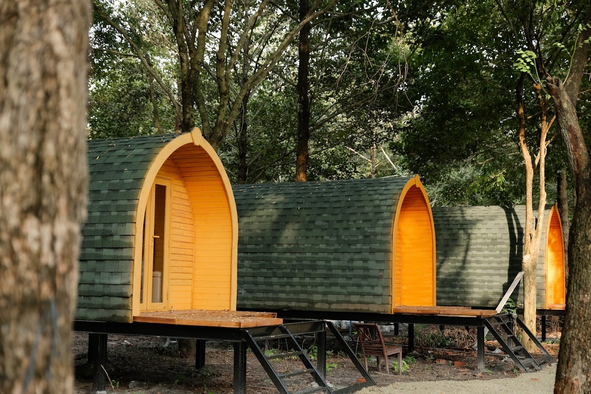 The Leaf Cafe & Glamping