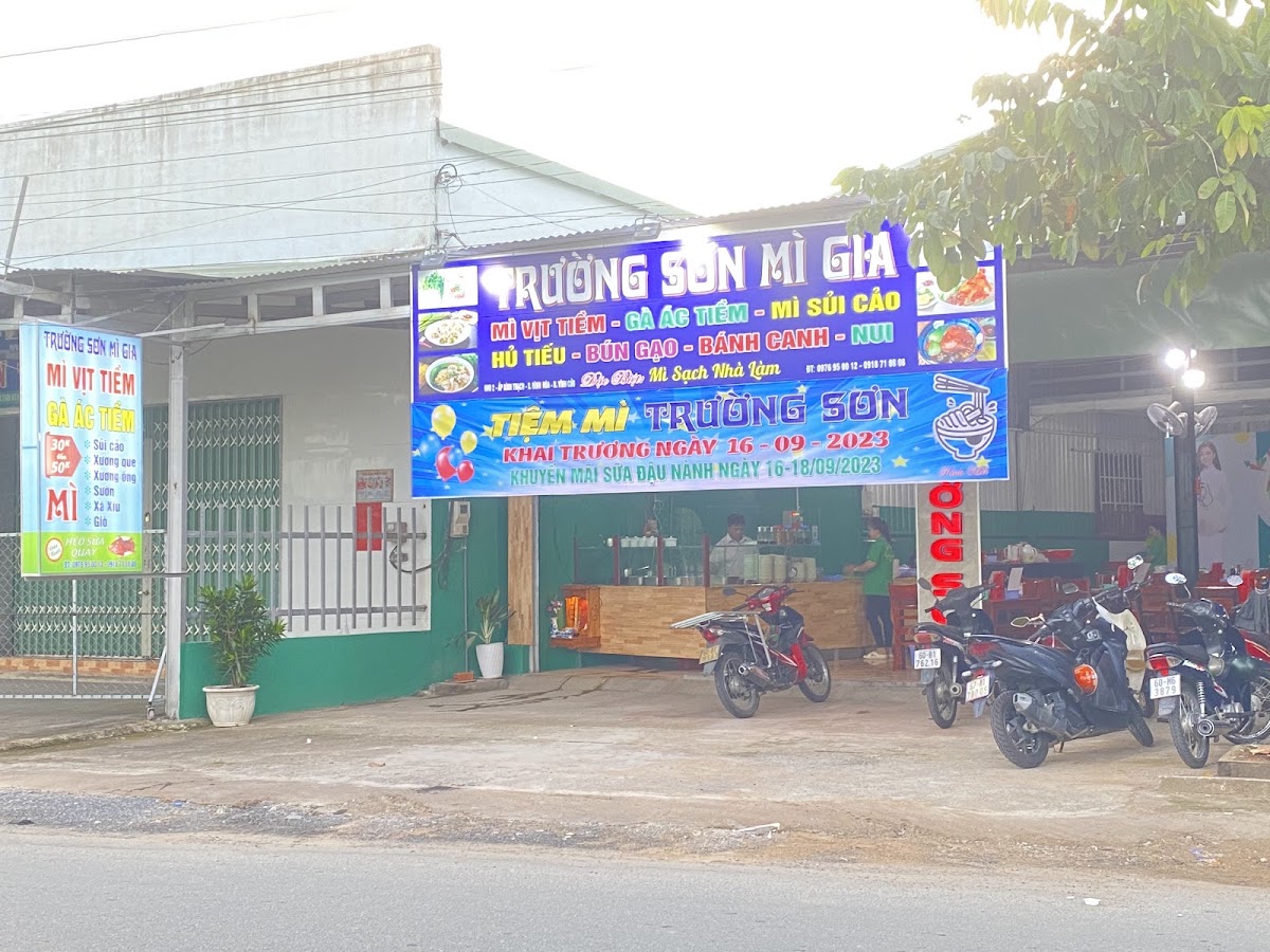 Trường Sơn mì gia