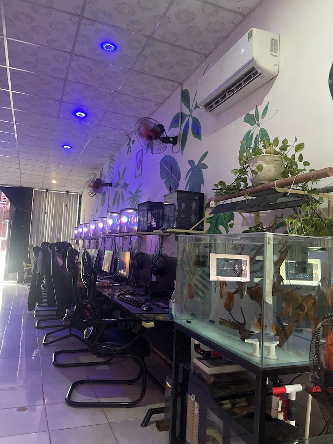 Net Venom Gaming Hố Nai 2