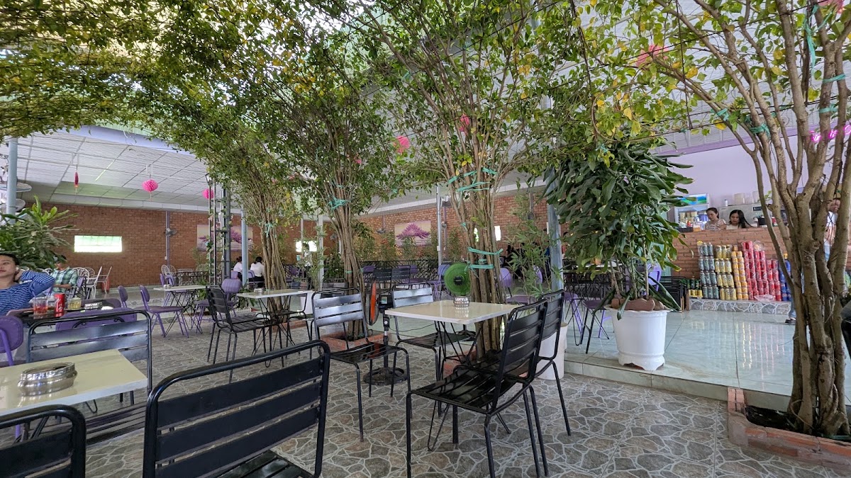 Cafe Tím