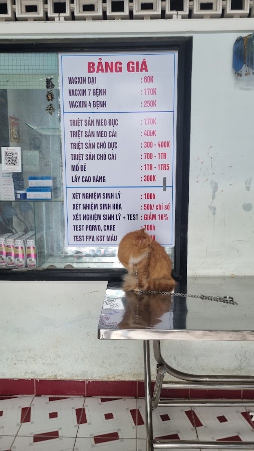 Phòng Khám Thú Y Vĩnh Phúc - Điện Bàn