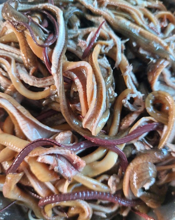 Cháo Dinh Dưỡng Cao Cấp Mít