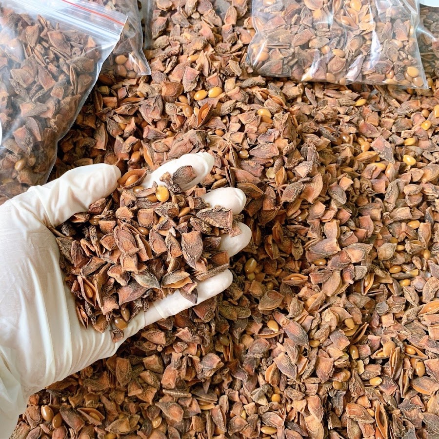 Cửa Hàng Tạp Hoá Dân Tộc