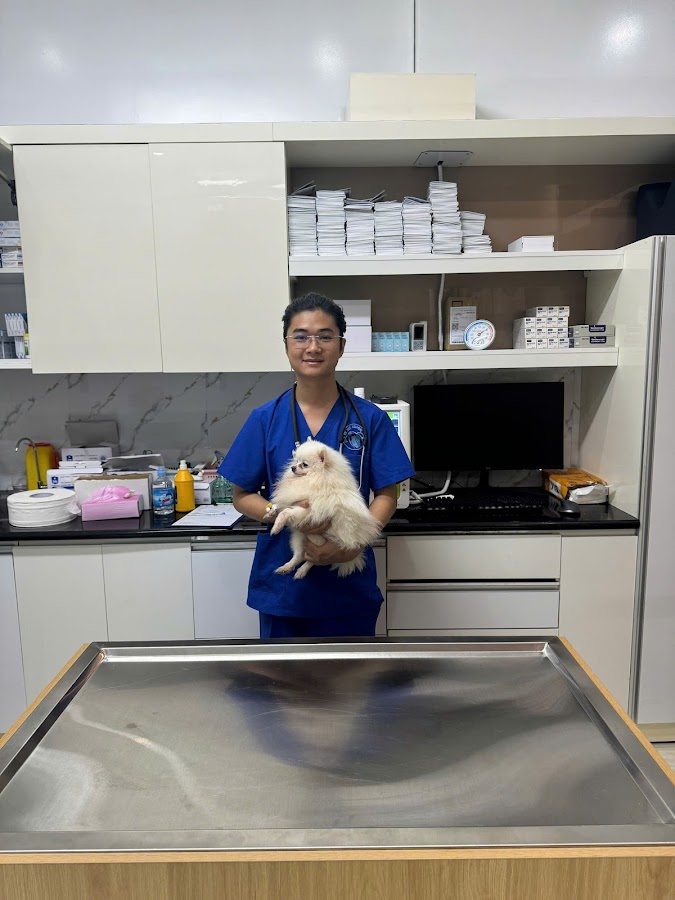 Bệnh Viện Thú Y Bình An Hải Phòng