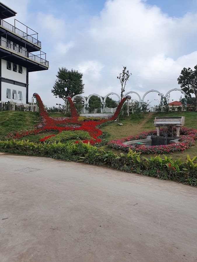 Công Ty Bao Bì Công Nghiệp Thái Dương