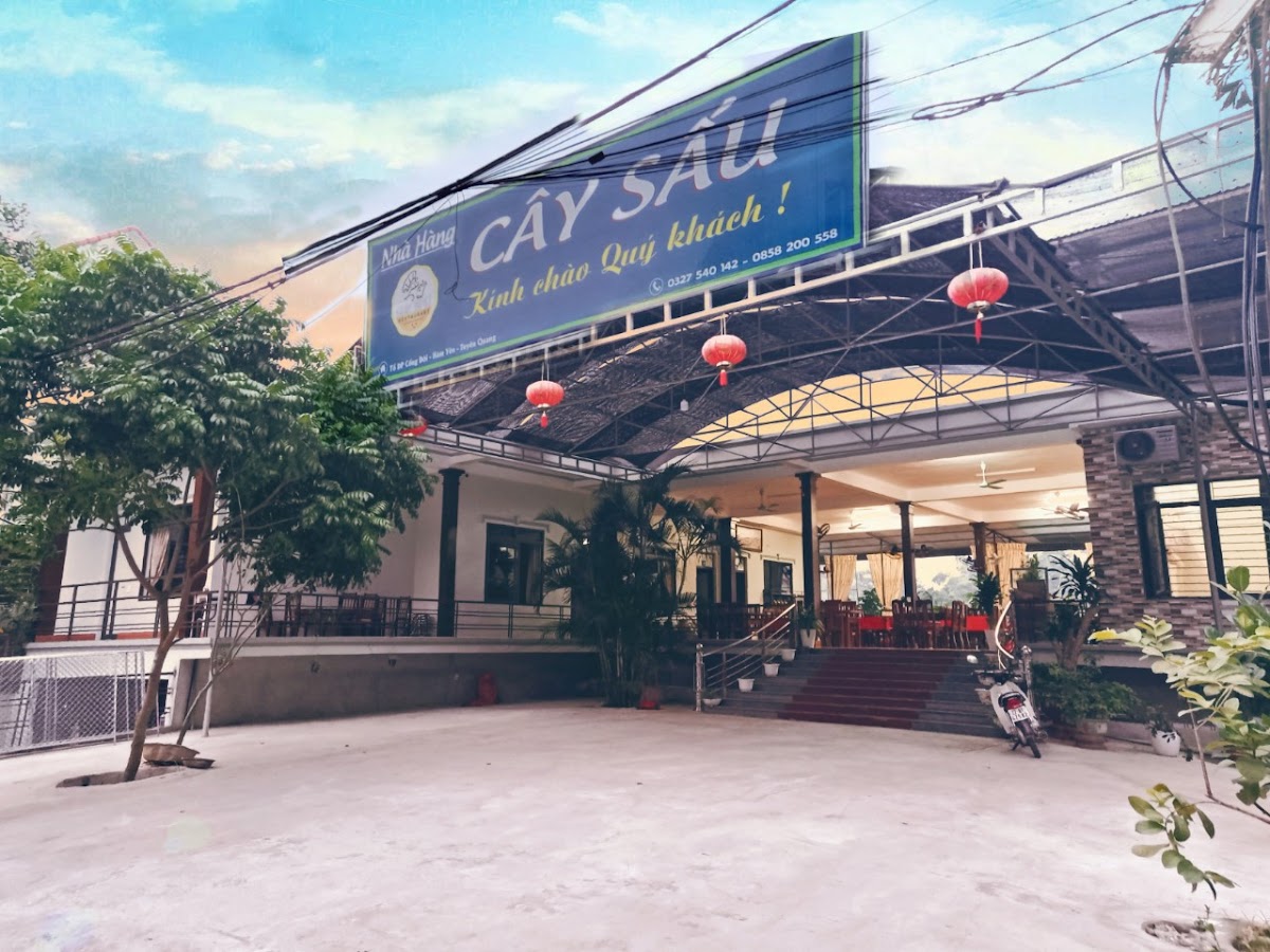 Cây sấu quán