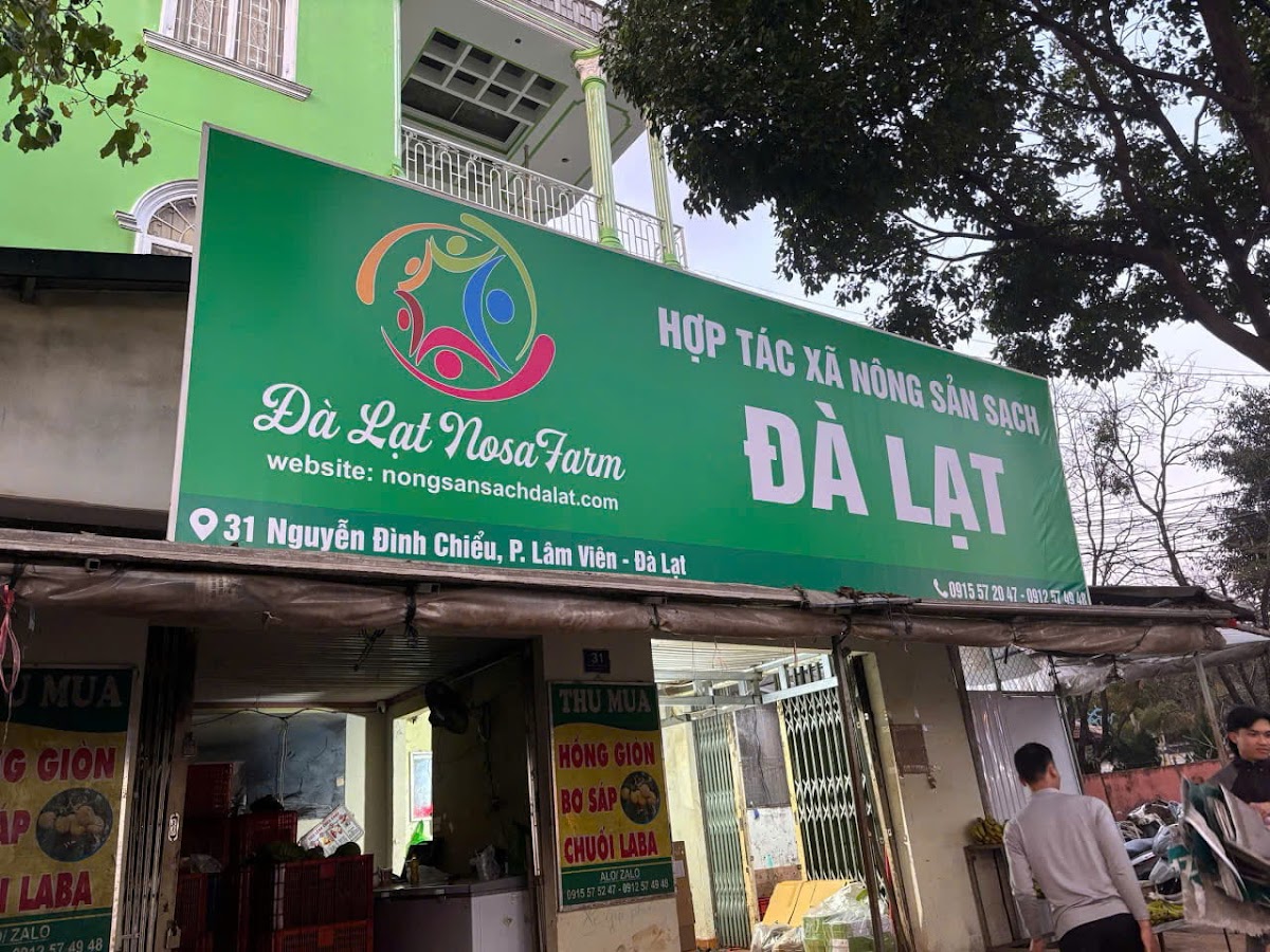 vựa khoai lang mật - bơ sáp - hồng giòn - chuối laba đà lạt - dây tây- hồng treo đà lạt