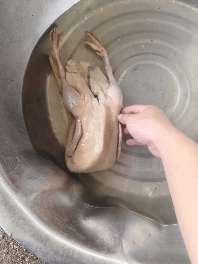 Xưởng vịt TanTan